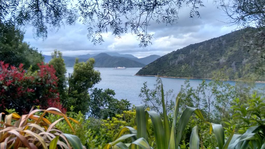 A Sea View B&B Picton Cameră foto